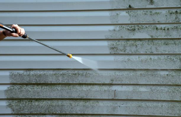 Best Fence Cleaning and Maintenance in Lechee, AZ