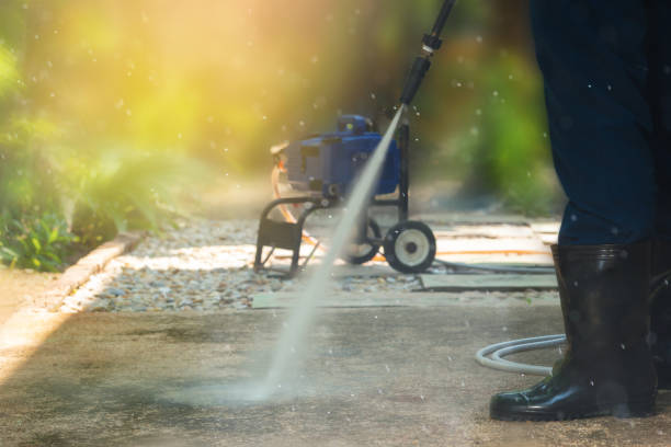 Best Roof Cleaning and Mildew Removal in Lechee, AZ